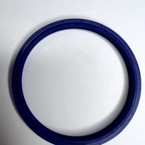 Phớt bụi DHS 105x115x6/8