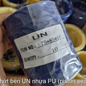Phớt ben UN 60x70x12